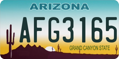 AZ license plate AFG3165