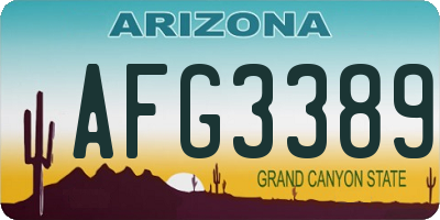 AZ license plate AFG3389
