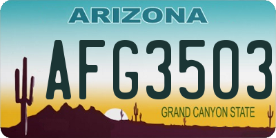 AZ license plate AFG3503