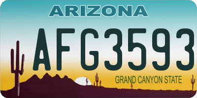 AZ license plate AFG3593