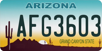 AZ license plate AFG3603