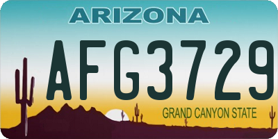 AZ license plate AFG3729