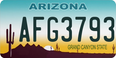 AZ license plate AFG3793