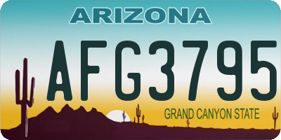 AZ license plate AFG3795