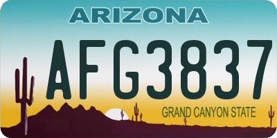 AZ license plate AFG3837