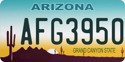 AZ license plate AFG3950