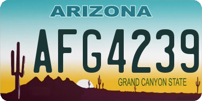 AZ license plate AFG4239