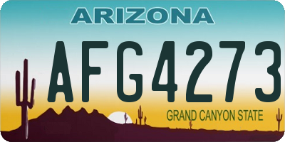 AZ license plate AFG4273
