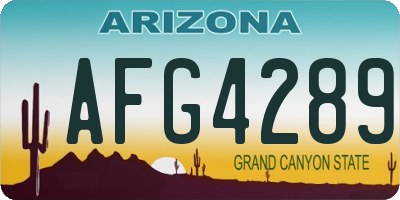 AZ license plate AFG4289
