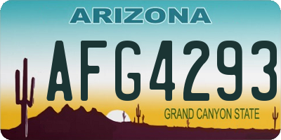 AZ license plate AFG4293