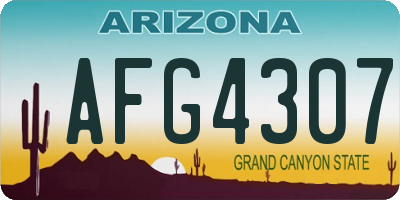 AZ license plate AFG4307