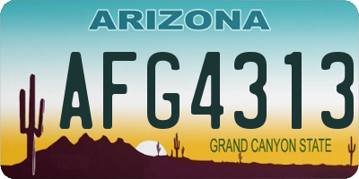 AZ license plate AFG4313