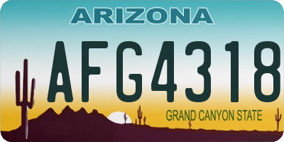 AZ license plate AFG4318