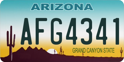 AZ license plate AFG4341
