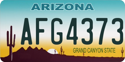 AZ license plate AFG4373
