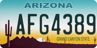 AZ license plate AFG4389