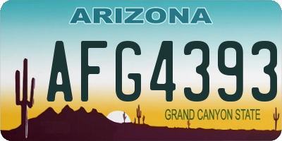 AZ license plate AFG4393