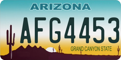 AZ license plate AFG4453
