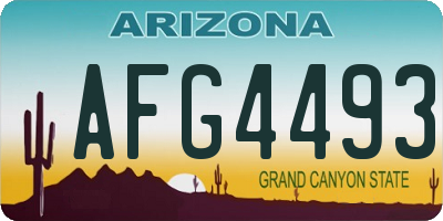AZ license plate AFG4493