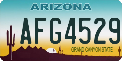 AZ license plate AFG4529