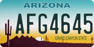 AZ license plate AFG4645