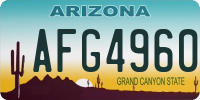AZ license plate AFG4960