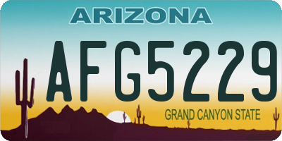 AZ license plate AFG5229