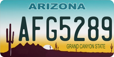 AZ license plate AFG5289