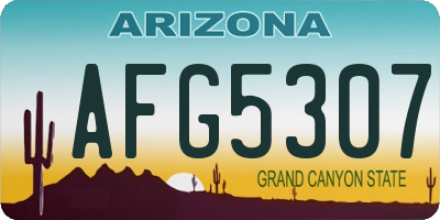 AZ license plate AFG5307