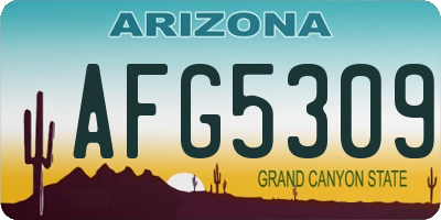 AZ license plate AFG5309
