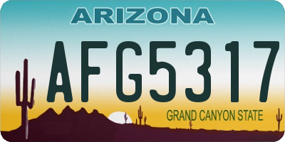 AZ license plate AFG5317