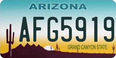 AZ license plate AFG5919