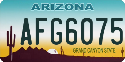 AZ license plate AFG6075