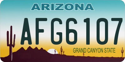 AZ license plate AFG6107