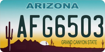 AZ license plate AFG6503