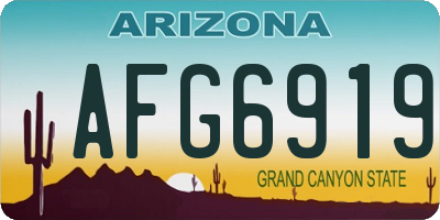 AZ license plate AFG6919