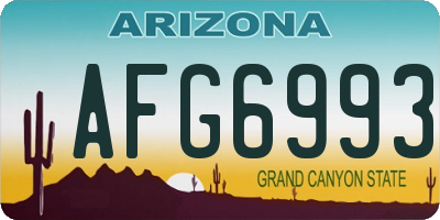 AZ license plate AFG6993