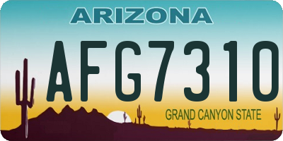 AZ license plate AFG7310