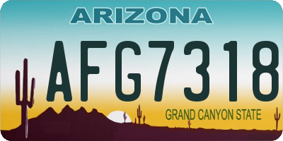 AZ license plate AFG7318