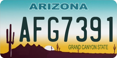 AZ license plate AFG7391
