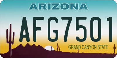 AZ license plate AFG7501