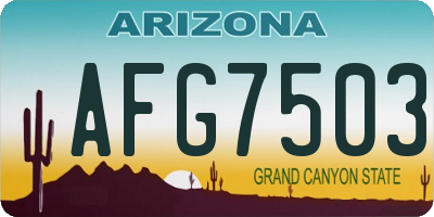AZ license plate AFG7503