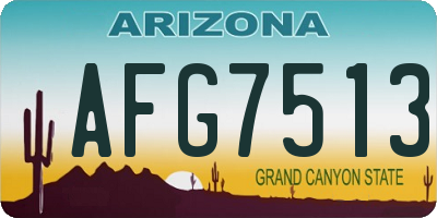 AZ license plate AFG7513