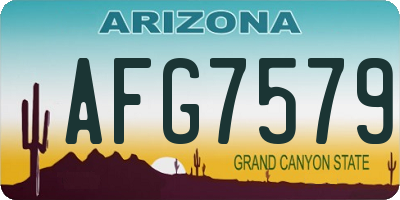 AZ license plate AFG7579