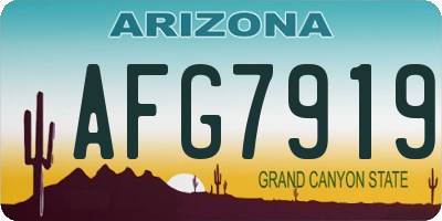 AZ license plate AFG7919