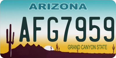 AZ license plate AFG7959