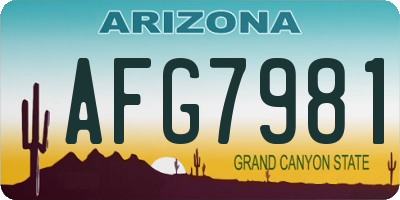 AZ license plate AFG7981