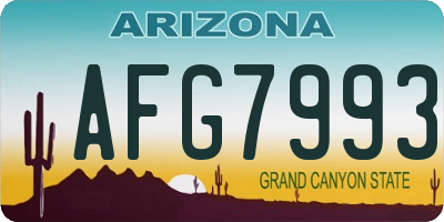 AZ license plate AFG7993