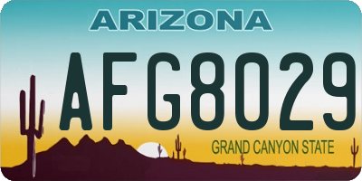 AZ license plate AFG8029