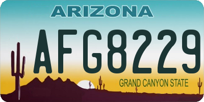 AZ license plate AFG8229
